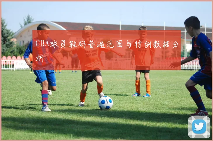 CBA球员鞋码普遍范围与特例数据分析